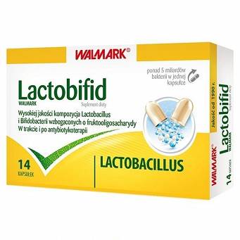 Lactobifid 14 kapsułek PROBIOTYK 